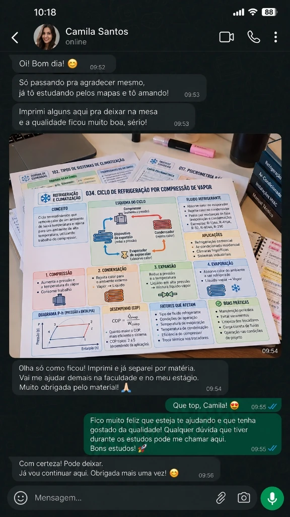 Depoimento WhatsApp Técnica Camila